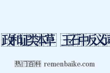政和证类本草·玉石中反义词是什么意思的图片